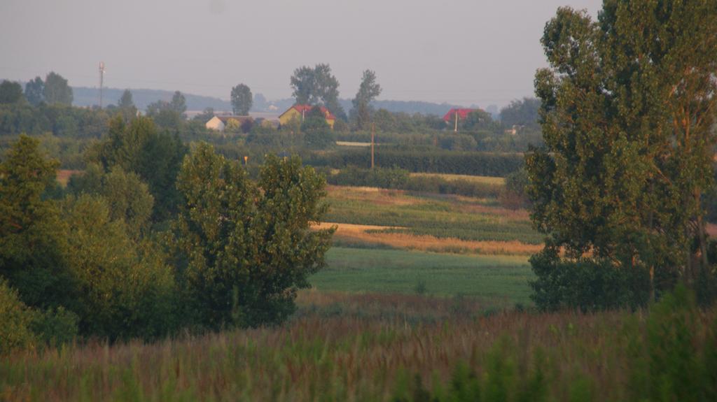 Bed & Breakfast Dwor Na Wichrowym Wzgorzu Przybysławice