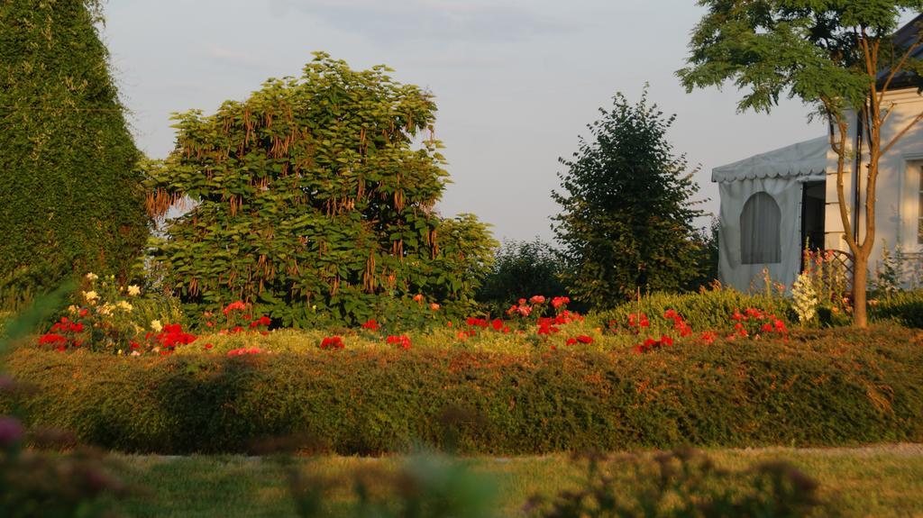 Bed & Breakfast Dwor Na Wichrowym Wzgorzu